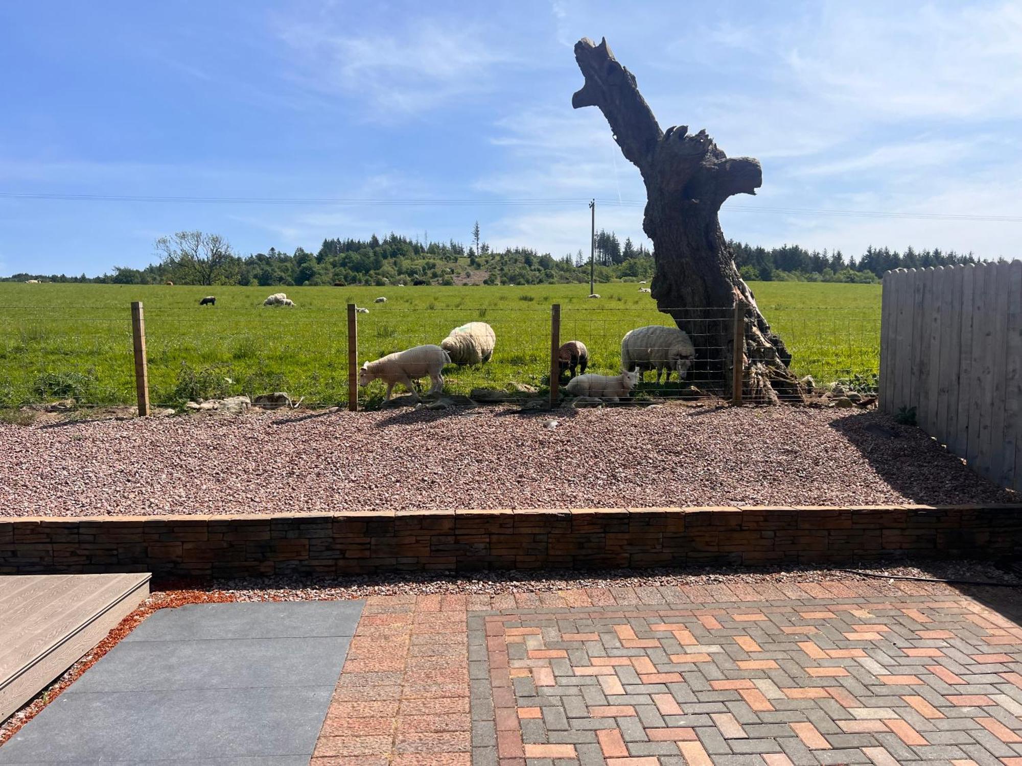 Lodge Woodburn Dumfries